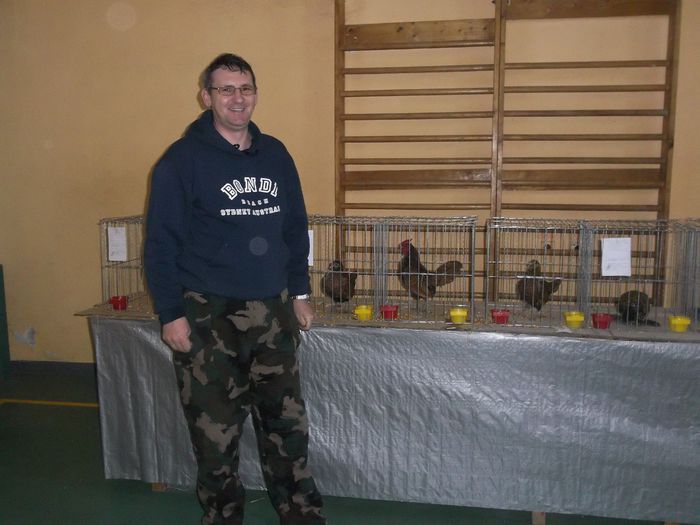 Luca Ioan si gainile rasa Sebright