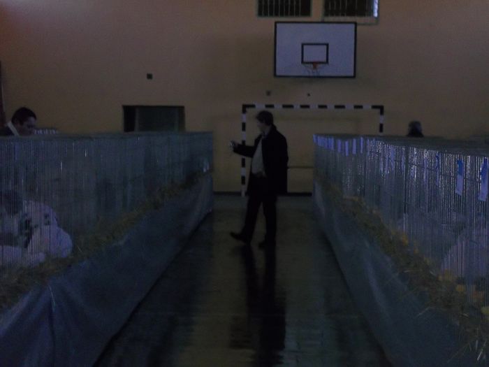 Expozitie Aiud ianuarie 2015 047