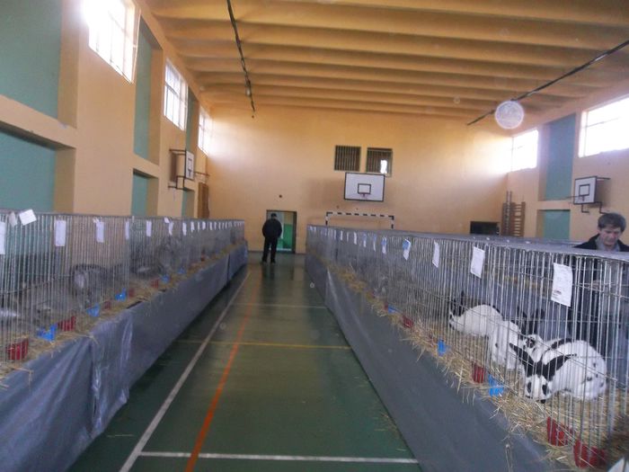 Expozitie Aiud ianuarie 2015 050