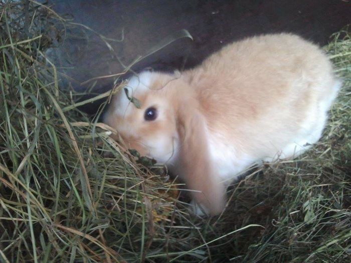 10958112_763044367125076_1335599888_n