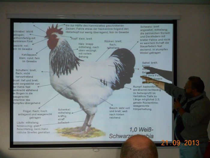 1236936_579736342084351_40813915_n