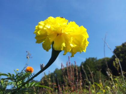 20140918_110942