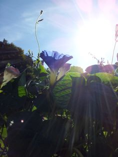 20140918_112230