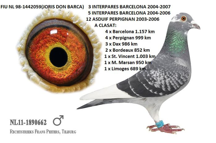 NL 11-1890662 FIU JORIS DON BARCA 15 MARATOANE CLASATE 3 INTERPARES BARCELONA 2004-2007 - 0a_ACHIZITIE NL 11-1890662 FIU JORIS DON BARCA 15 MARATOANE CLASATE 3 INTERPARES BARCELONA 2004-2007