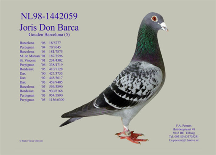 JORIS DON BARCA TATAL MASC MEU 3 INTERPARES BARCELONA 2004-2007 5 INTERPARES BARCELONA 2004-2006 12 - 0a_ACHIZITIE NL 11-1890662 FIU JORIS DON BARCA 15 MARATOANE CLASATE 3 INTERPARES BARCELONA 2004-2007