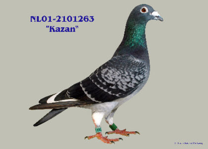 18 MARATOANE CLASATE - 0a_ACHIZITIE NL 11-1890662 FIU JORIS DON BARCA 15 MARATOANE CLASATE 3 INTERPARES BARCELONA 2004-2007