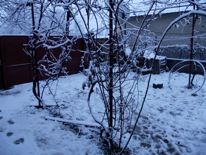 DSCF2482 tura 2 iarna 2014-2015 (4)