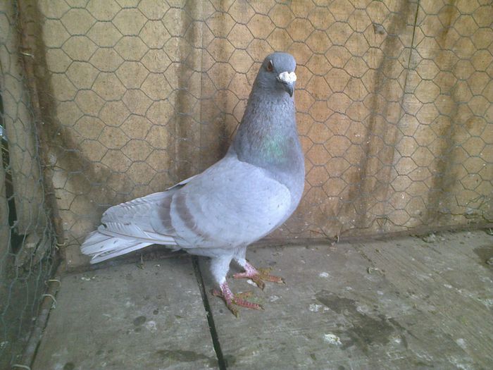 Imag 012872