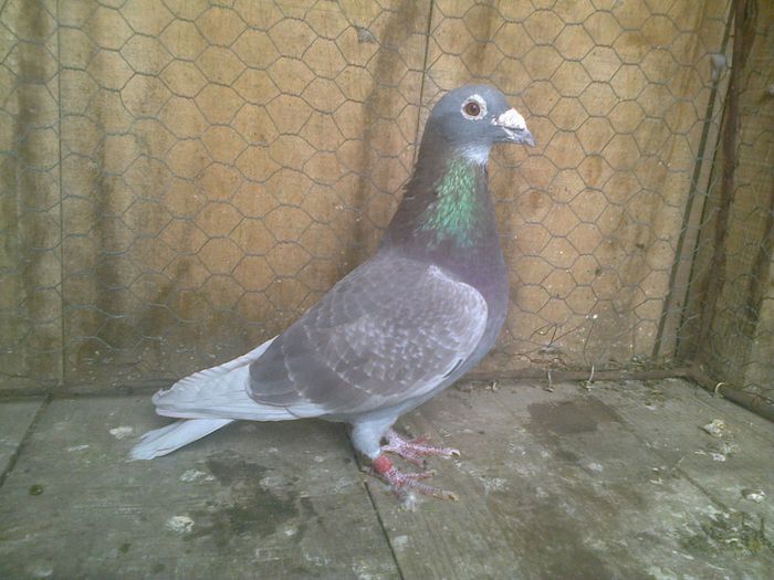 Imag 012887
