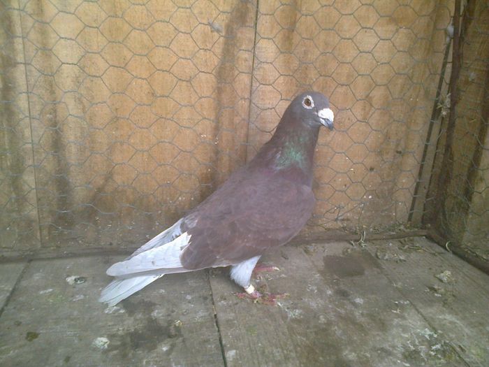 Imag 012906