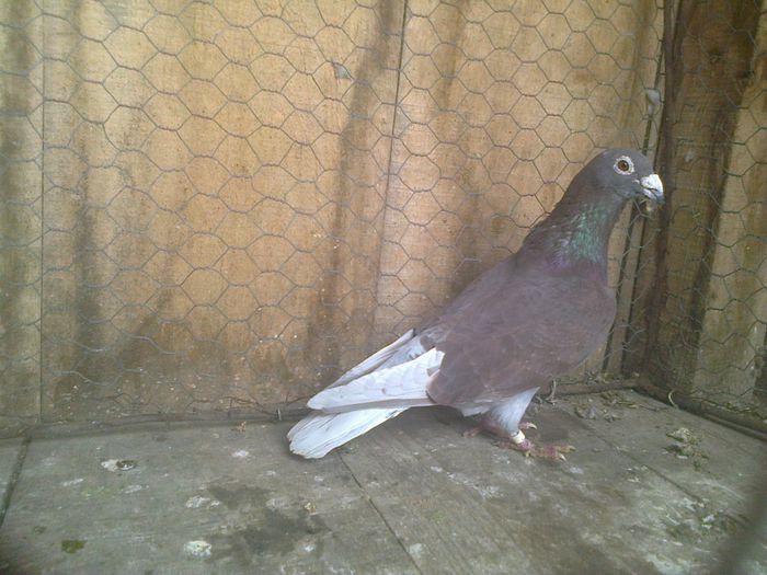 Imag 012907