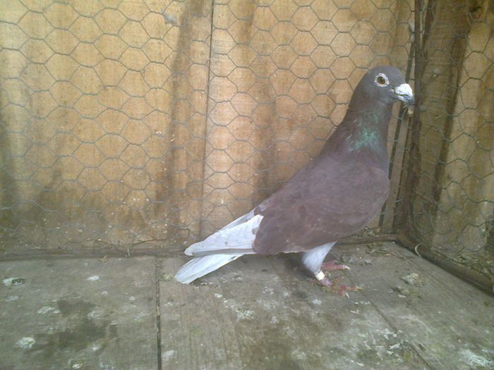 Imag 012909