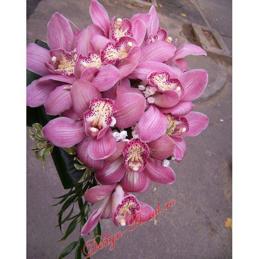 buchet-curgator-din-orhidee