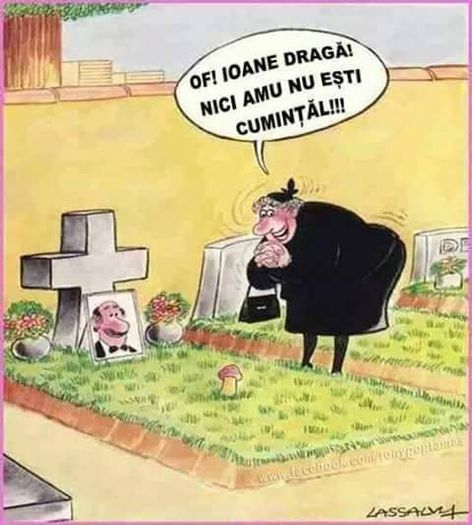 10968396_1441554396134912_50048971100429917_n