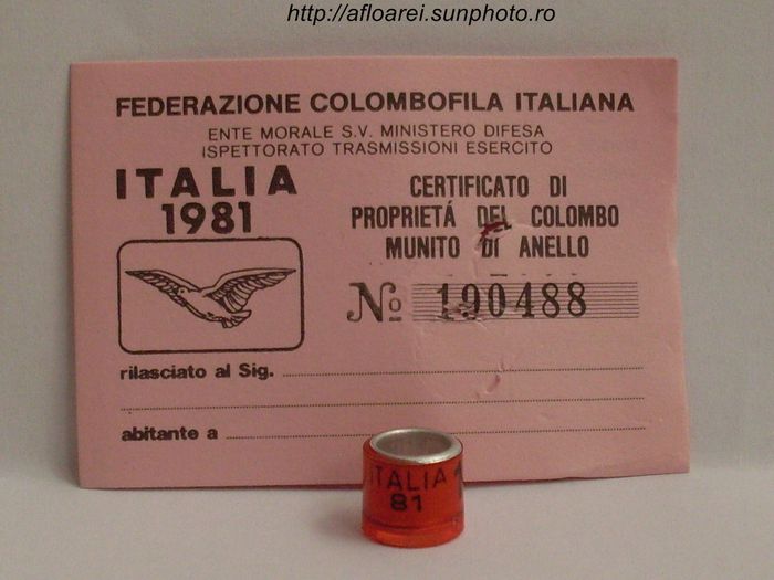 italia 81 - ITALIA