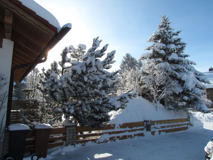 Januar --2015 625 - Iarna frumoasa la noua locatie si inprejurimi din Germania