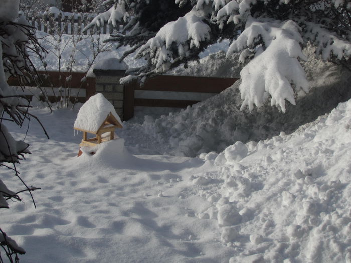 Januar --2015 621 - Iarna frumoasa la noua locatie si inprejurimi din Germania