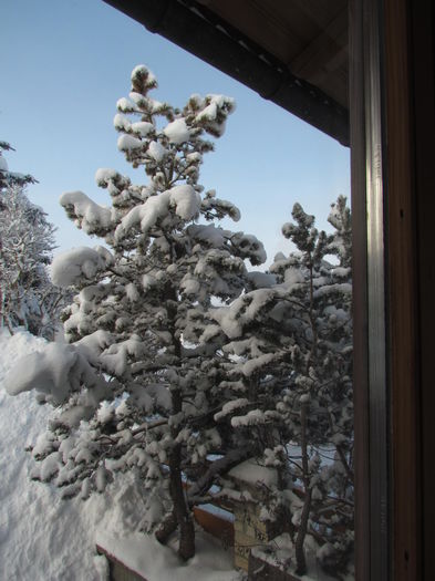 Januar --2015 615 - Iarna frumoasa la noua locatie si inprejurimi din Germania