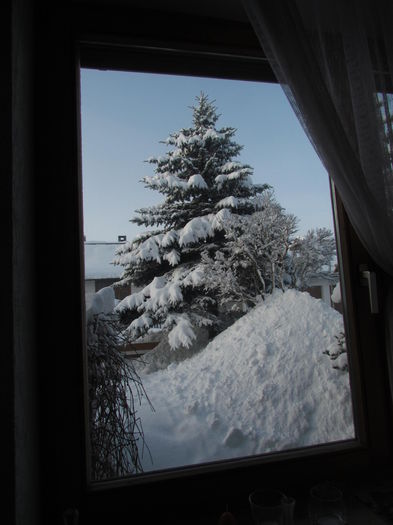 Januar --2015 612 - Iarna frumoasa la noua locatie si inprejurimi din Germania