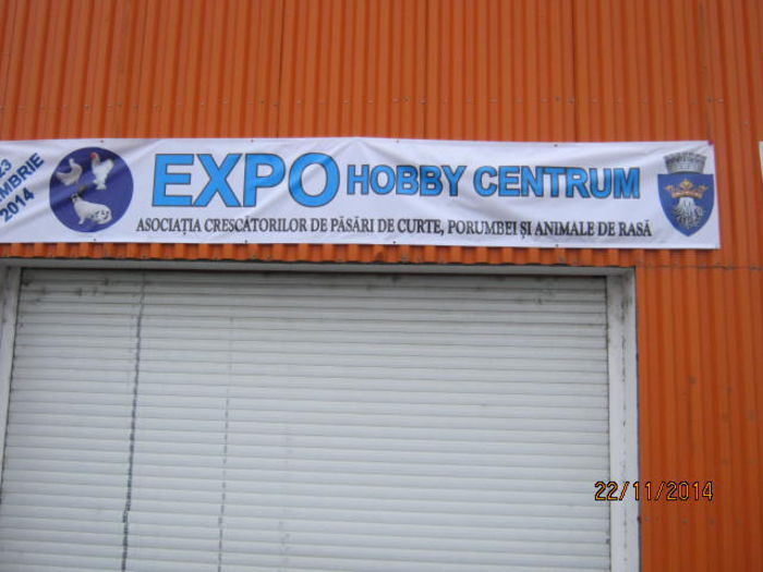 IMG_3933 - Expozitia BRASOV noiembrie 2014-HOBBY CENTRUM