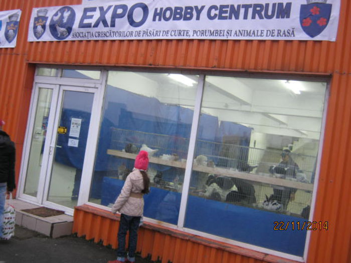 IMG_3935 - Expozitia BRASOV noiembrie 2014-HOBBY CENTRUM