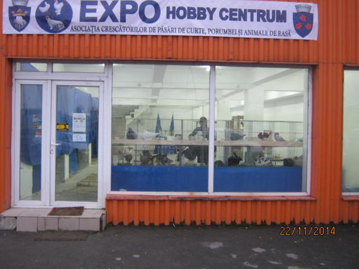 IMG_3936 - Expozitia BRASOV noiembrie 2014-HOBBY CENTRUM