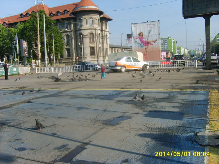 PARCUL TINERETULUI  BUCURESTI