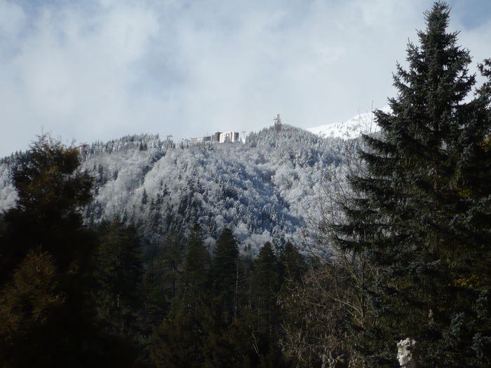 P1100901 - 2015 - Excursie final ianuarie