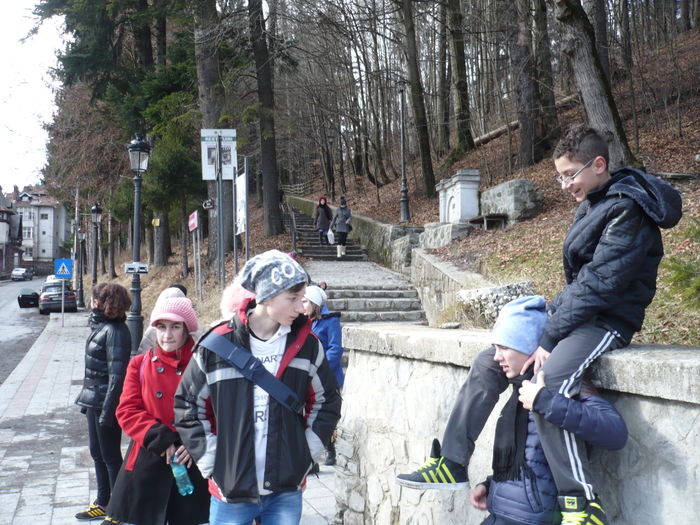 P1100908 - 2015 - Excursie final ianuarie