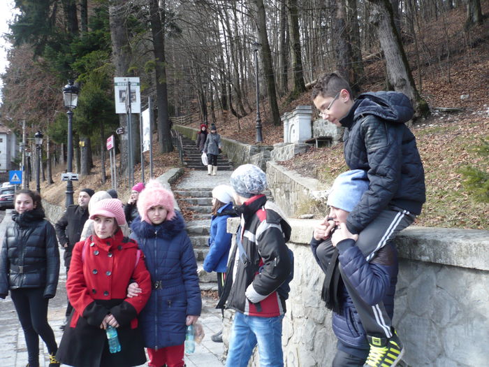 P1100909 - 2015 - Excursie final ianuarie