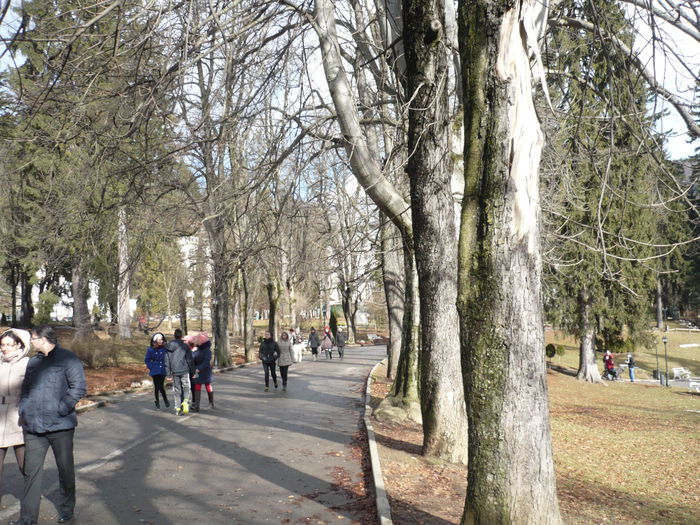 P1100911 - 2015 - Excursie final ianuarie