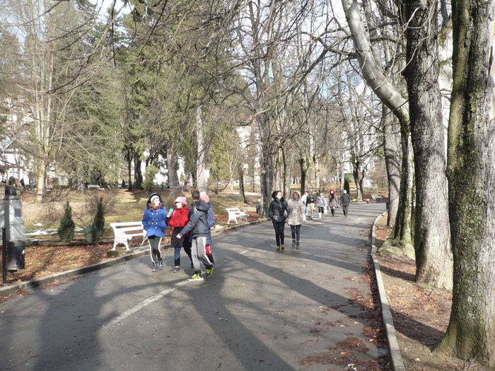 P1100912 - 2015 - Excursie final ianuarie