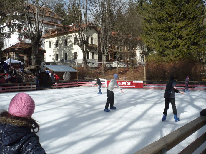 P1100920 - 2015 - Excursie final ianuarie
