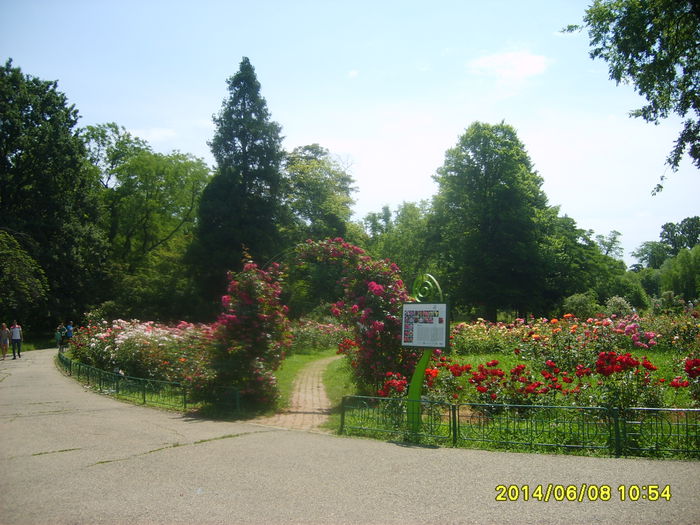 Gradina Botanica  Bucuresti - fLORILE    LUI   TEO