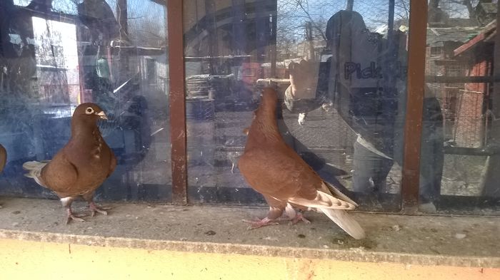 WP_20150204_11_55_19_Pro