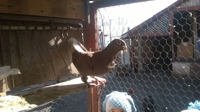 WP_20150204_11_57_35_Pro