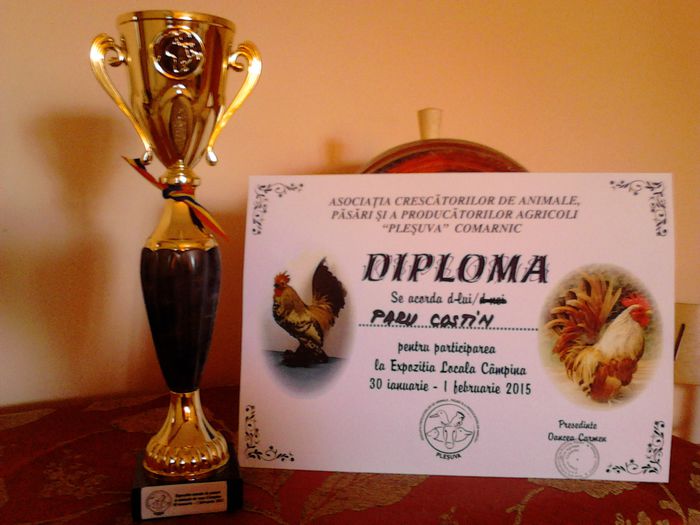 Cupa si diploma de participare