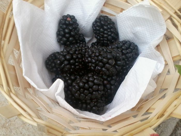 2014-07-12  minunate murele coapte