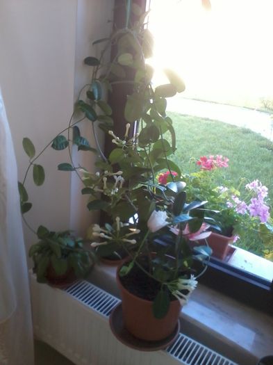 2014-08-30 09.11.36 - fLORILE    LUI   TEO