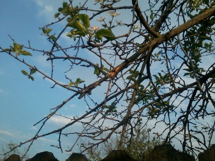 2014-09-10 18.31.25 - fLORILE    LUI   TEO