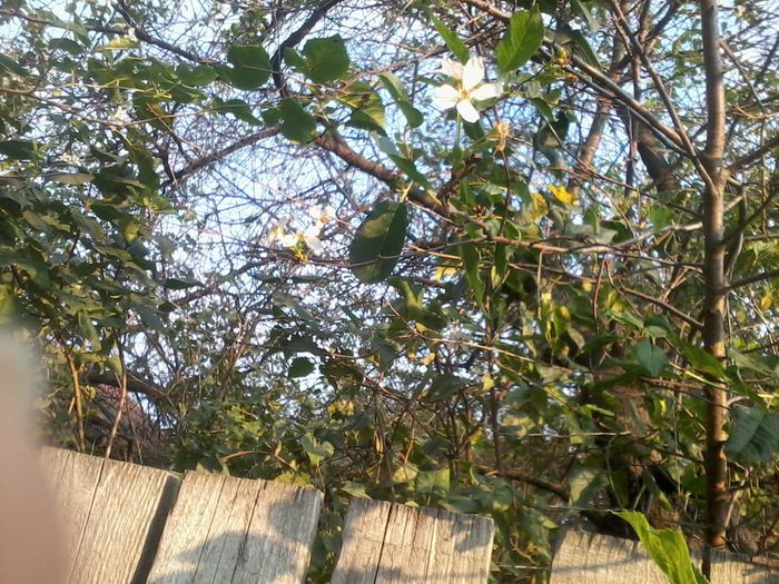 2014-09-10 18.36.37 - fLORILE    LUI   TEO