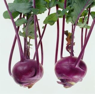 Gulie Purple - De vanzare seminte -legume-mirodenii-flori-arbori