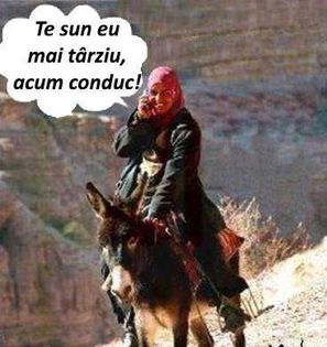 1780715_551558101609228_1648579320_n