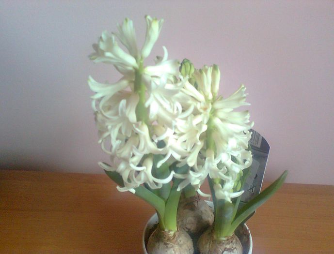  - ACHIZITI - 2015 - 2018