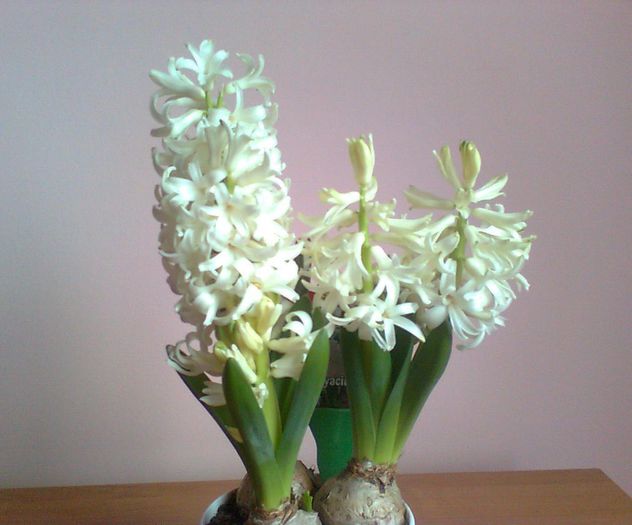  - ACHIZITI - 2015 - 2018