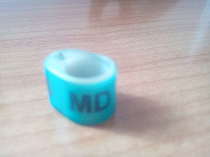 IMG_20150205_132950_1