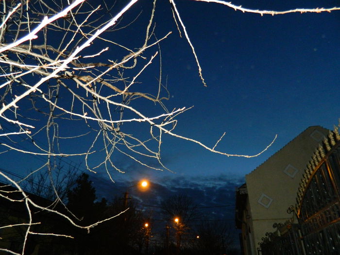 DSCN0587 - 2015_FEBRUARIE