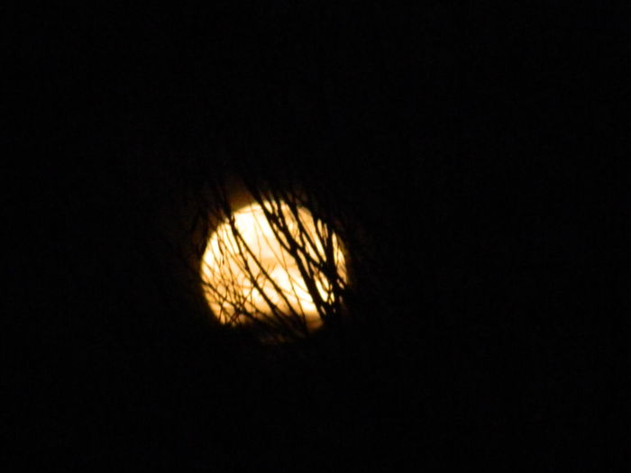 DSCN0593 - 2015_LUNA_FEBRUARIE