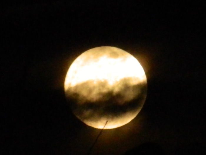 DSCN0632 - 2015_LUNA_FEBRUARIE