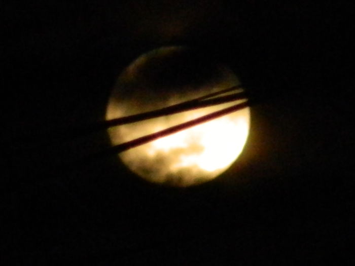 DSCN0633 - 2015_LUNA_FEBRUARIE